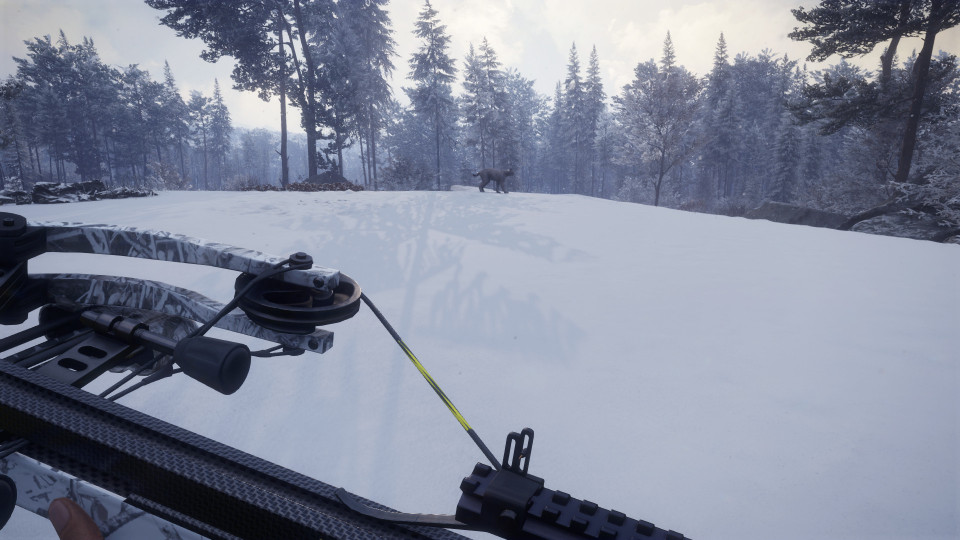theHunter: Call of the Wild - Weapon Pack 1