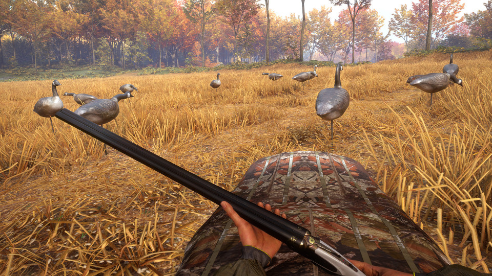 theHunter: Call of the Wild - Wild Goose Chase Gear