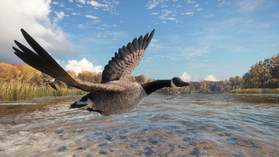 theHunter: Call of the Wild - Wild Goose Chase Gear