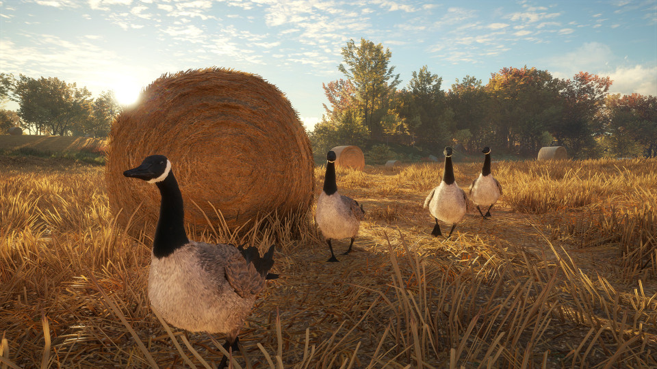 theHunter: Call of the Wild - Wild Goose Chase Gear
