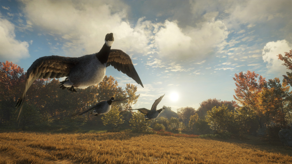theHunter: Call of the Wild - Wild Goose Chase Gear