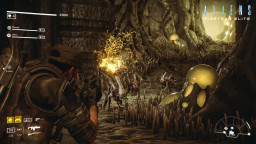 Aliens: Fireteam Elite - Into the Hive Edition