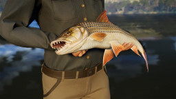 Call of the Wild: The Angler South Africa Reserve