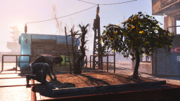 Fallout 4: Wasteland Workshop