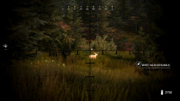 Hunting Simulator 2 - Elite Edition