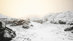 Lushfoil Photography Sim