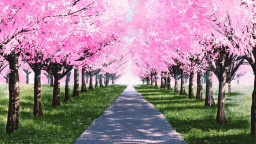 My Summer Adventure: Memories of Another Life