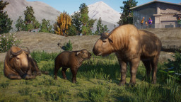 Planet Zoo: Eurasia Animal Pack