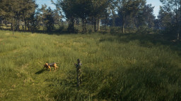 theHunter: Call of the Wild - Bloodhound