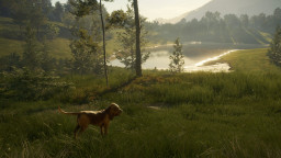 theHunter: Call of the Wild - Bloodhound