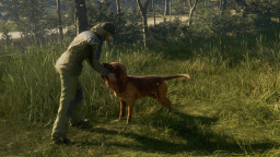 theHunter: Call of the Wild - Bloodhound