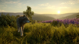 theHunter: Call of the Wild - Cuatro Colinas Game Reserve