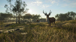 theHunter: Call of the Wild - Emerald Coast Australia