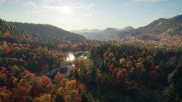 theHunter: Call of the Wild - New England Mountains
