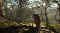 theHunter: Call of the Wild - Parque Fernando