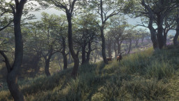 theHunter: Call of the Wild - Parque Fernando