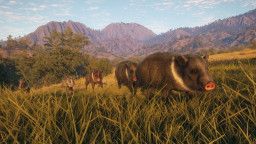 theHunter: Call of the Wild - Rancho del Arroyo