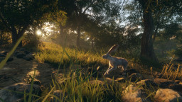 theHunter: Call of the Wild - Rancho del Arroyo
