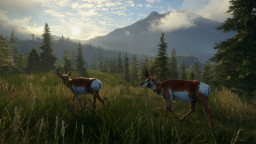 theHunter: Call of the Wild - Silver Ridge Peaks