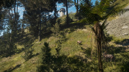 theHunter: Call of the Wild - Te Awaroa National Park