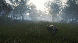 theHunter: Call of the Wild - Te Awaroa National Park