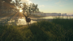 theHunter: Call of the Wild - Te Awaroa National Park