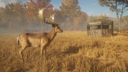 theHunter: Call of the Wild - Tents & Ground Blinds