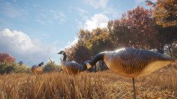 theHunter: Call of the Wild - Wild Goose Chase Gear
