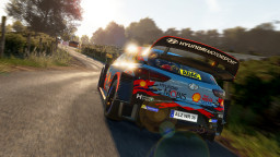 WRC 8 FIA World Rally Championship - Deluxe Edition